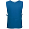 RoyalBlue:Royal Blue