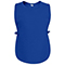 RoyalBlue:Royal Blue