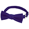 Purple:Purple 