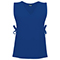RoyalBlue:Royal Blue